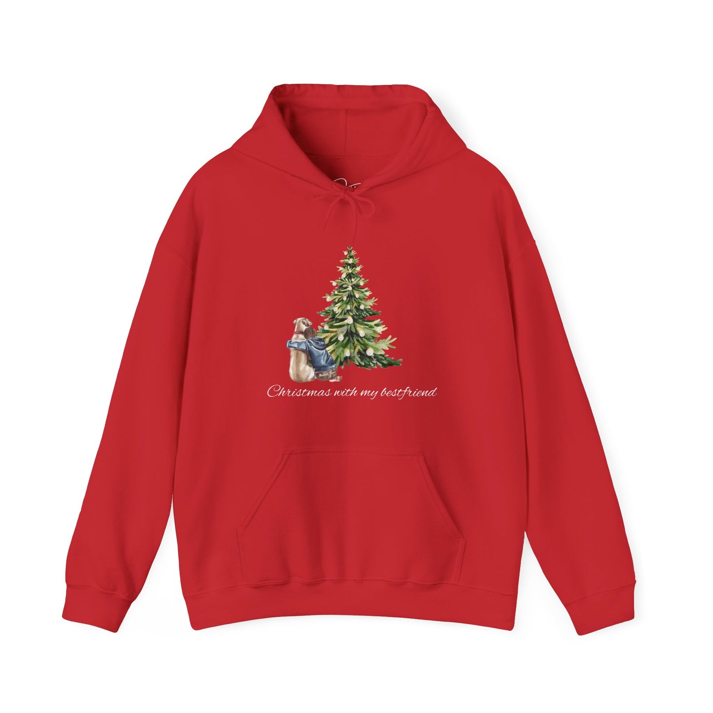 Christmas With My Bestfriend Hoodie