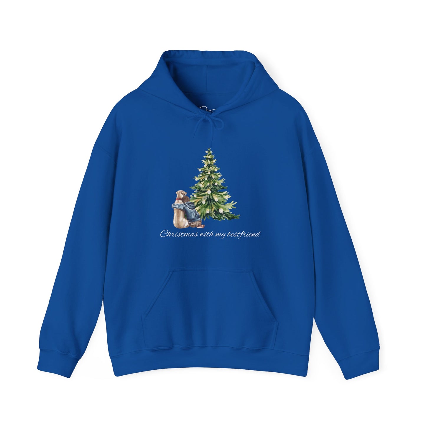 Christmas With My Bestfriend Hoodie
