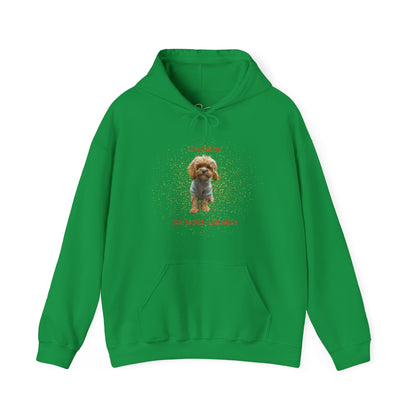 Oh Baby Its Cold Outside Dog Hoodie