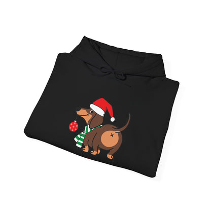 Funny Christmas Dog Hoodie