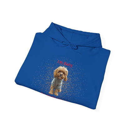 Oh Baby Its Cold Outside Dog Hoodie