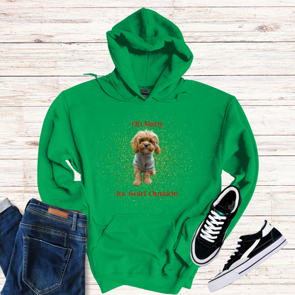 Oh Baby Its Cold Outside Dog Hoodie