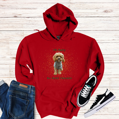 Oh Baby Its Cold Outside Dog Hoodie