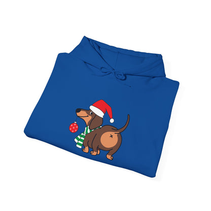 Funny Christmas Dog Hoodie