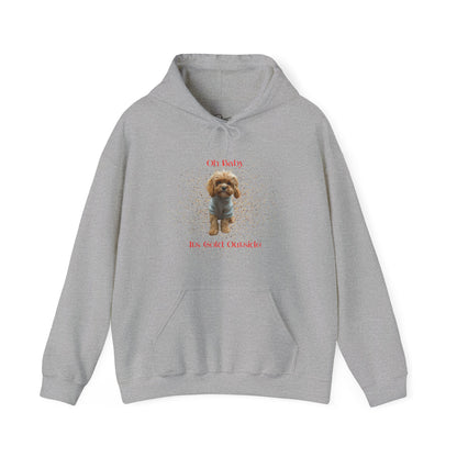 Oh Baby Its Cold Outside Dog Hoodie